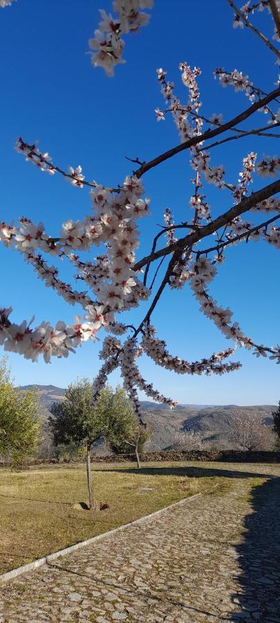 Вілла Quinta Alto Da Fraga Віла-Нова-де-Фош-Коа Екстер'єр фото